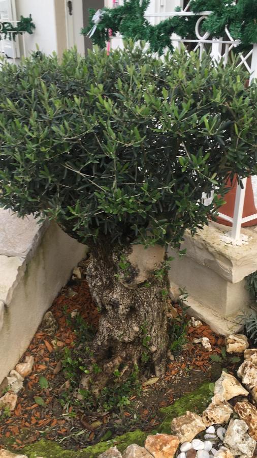 Il Casale Di Gio Acomodação com café da manhã Nápoles Exterior foto